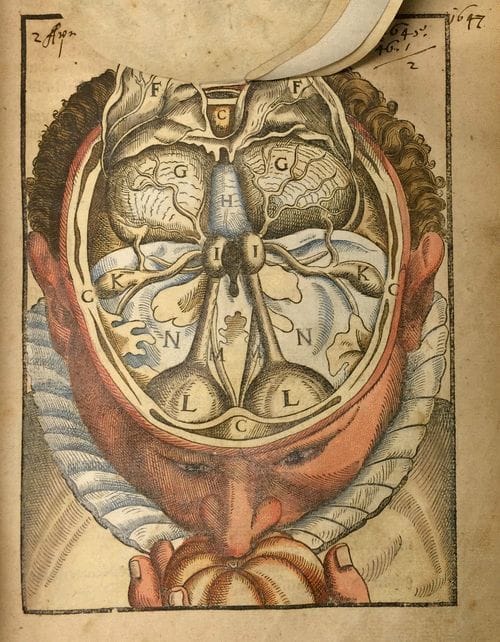 Artwork Title: undefined