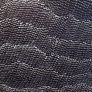 Artwork Title: Untitled