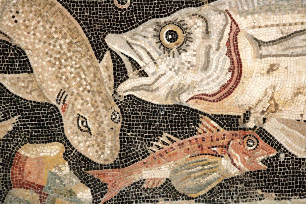 Artwork Title: Floor mosaic from House of the Faun, Pompeii, 1st century AD