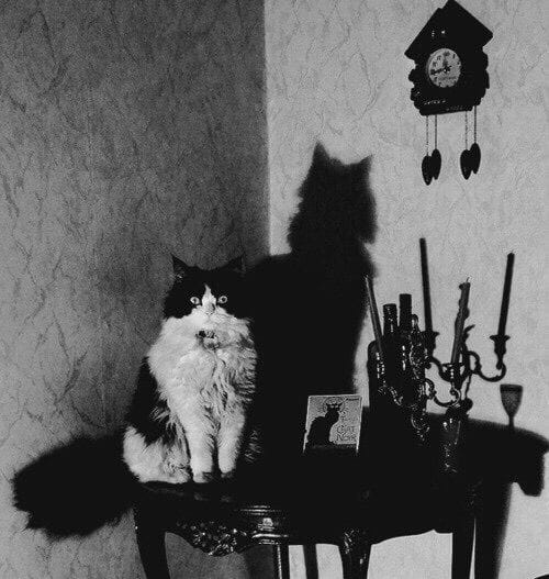 Artwork Title: undefined