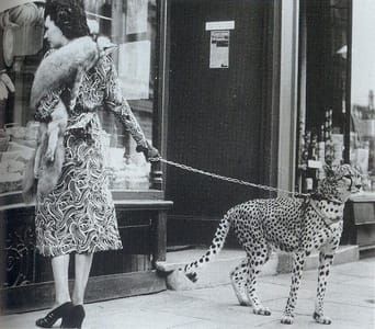 Artwork Title: Phyllis Gordon Walking Her Cheetah