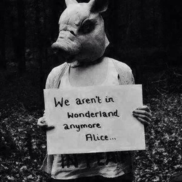 Artwork Title: undefined