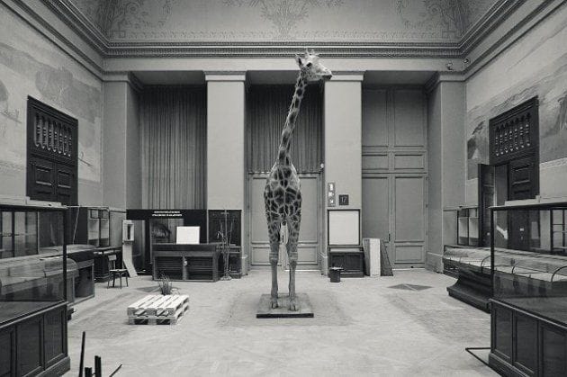 Artwork Title: undefined