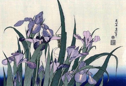 Artwork Title: Iris Flowers and Grasshopper