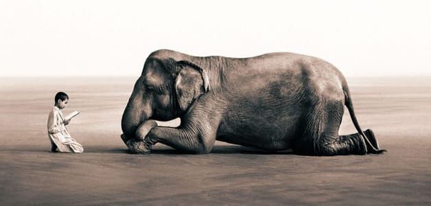 Gregory Colbert - Boy reading to elephant