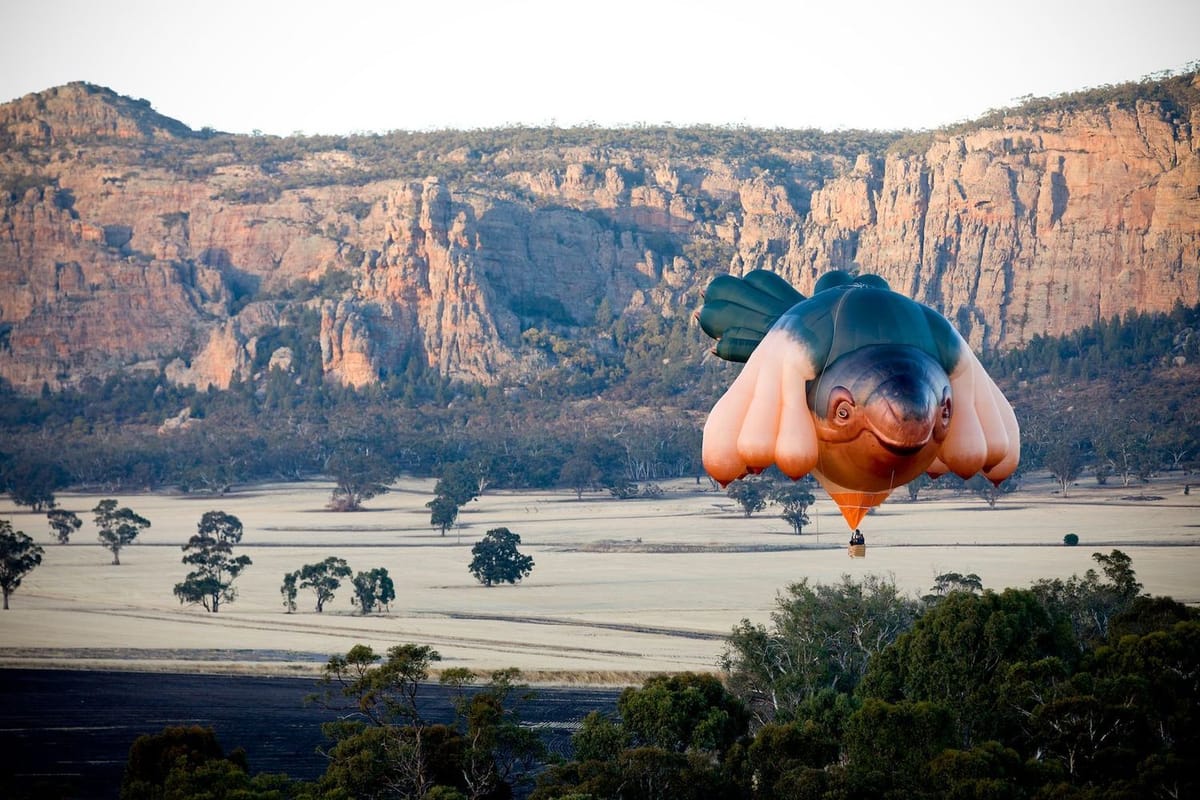 Artwork Title: Skywhale