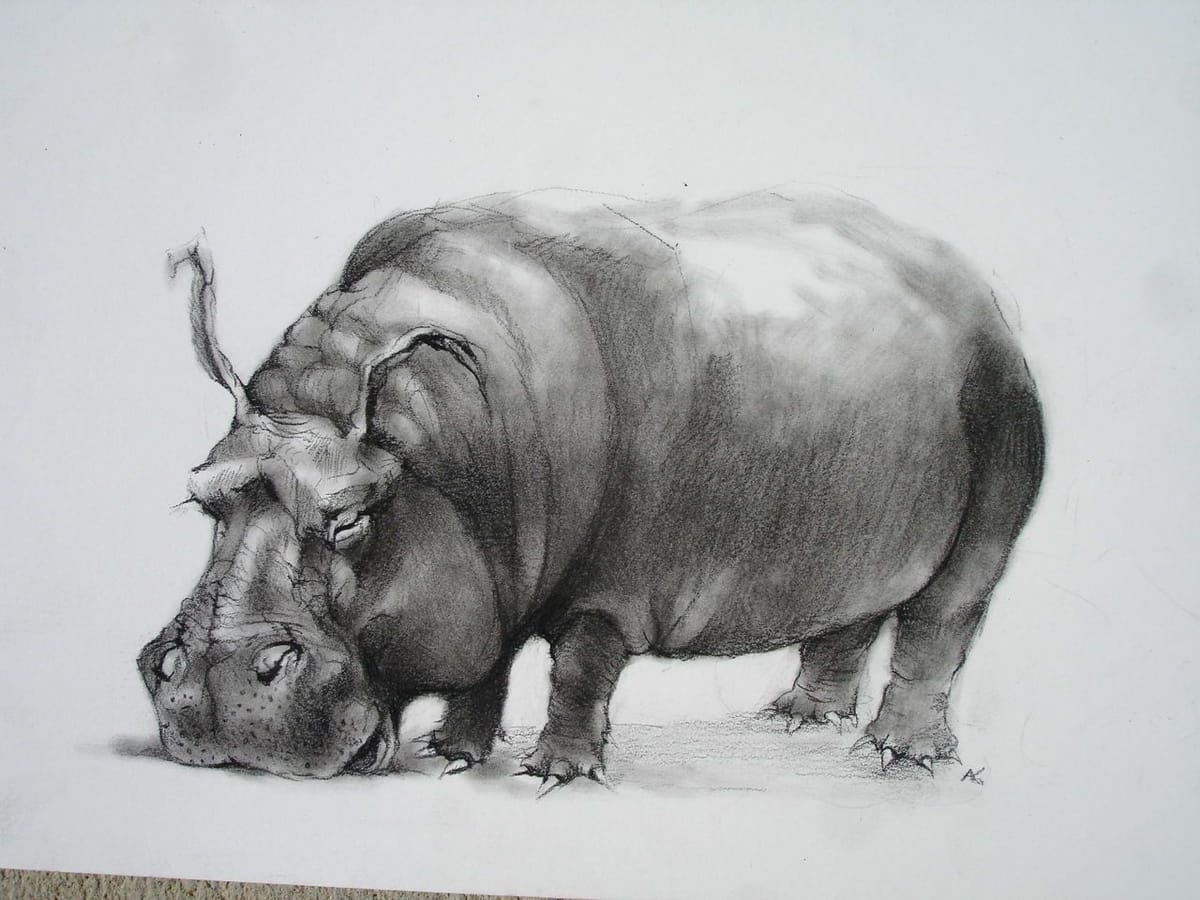 Artwork Title: Sleeping Hippo
