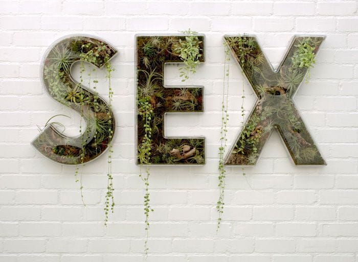 Artwork Title: Sex