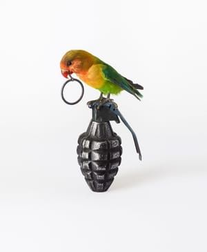 Artwork Title: Parrot With Grenade