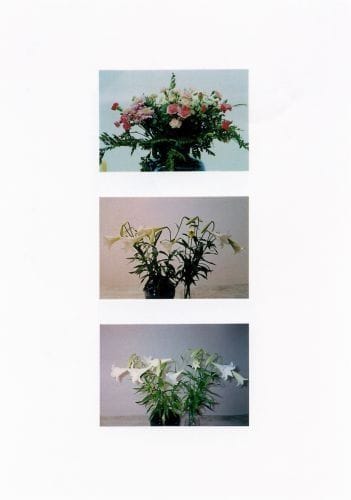 Artwork Title: Stilleben (Blumen)