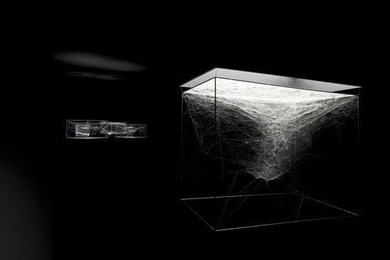 Artwork Title: Social ... Quasi Social ... Solitary ... Spiders ... On Hybrid Cosmic Webs
