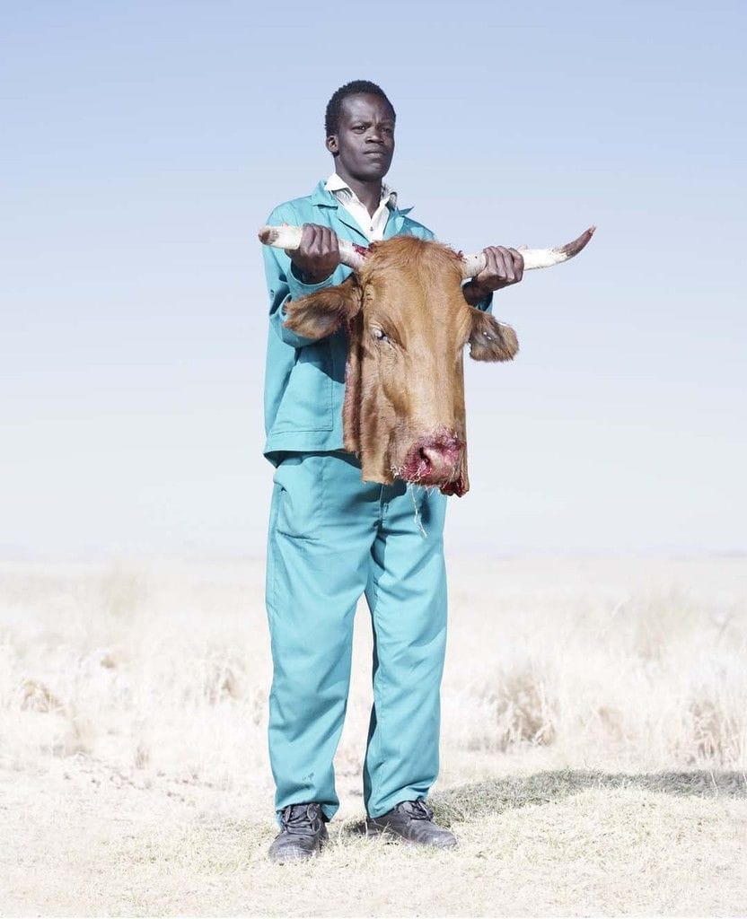 Artwork Title: Herero Man With Cows Head
