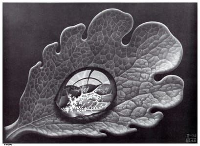 M.C. Escher - Hand With Reflecting Sphere