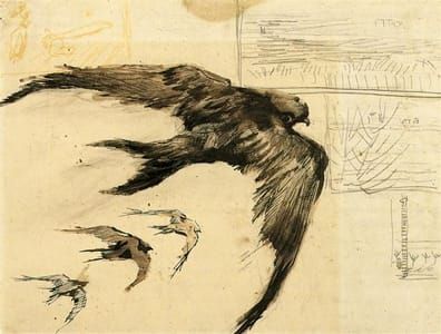 Artwork Title: Four Swifts With Landscape Sketches
