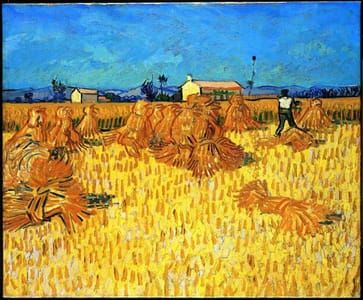 Artwork Title: Harvest in Provence