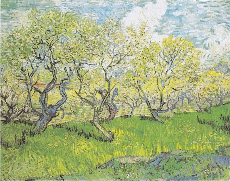 Artwork Title: Orchard in Blossom April