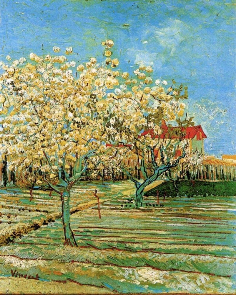 Artwork Title: Orchard in Blossom