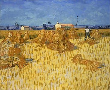 Artwork Title: Harvest in Provence