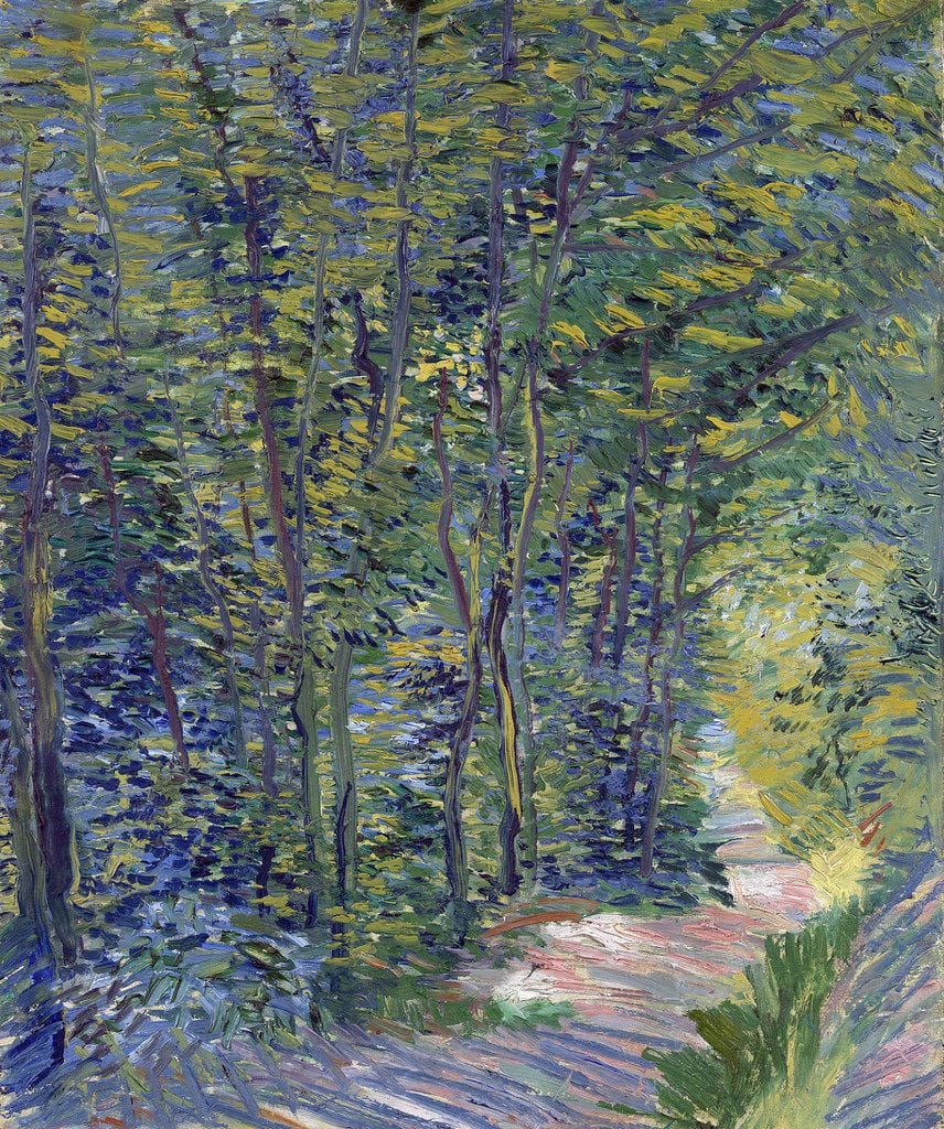 Artwork Title: Path in the Woods