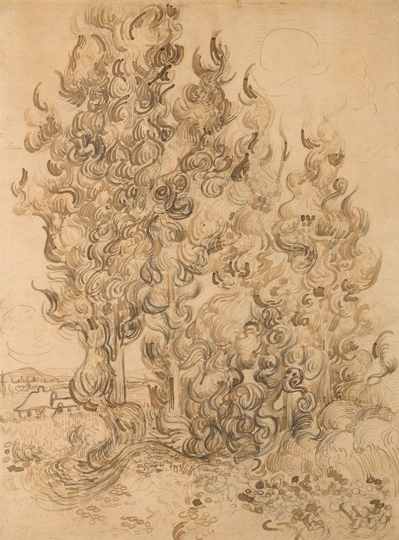 Artwork Title: Cypresses