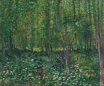 Artwork Title: Bos met kreupelhout (Forest with Undergrowth)