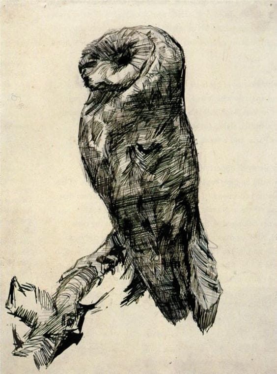 Artwork Title: Barn Owl