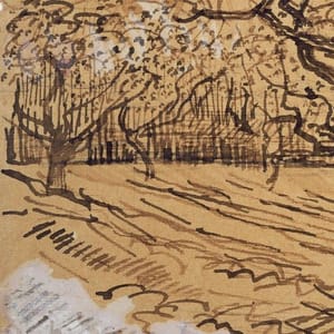 Artwork Title: Provençal Orchard