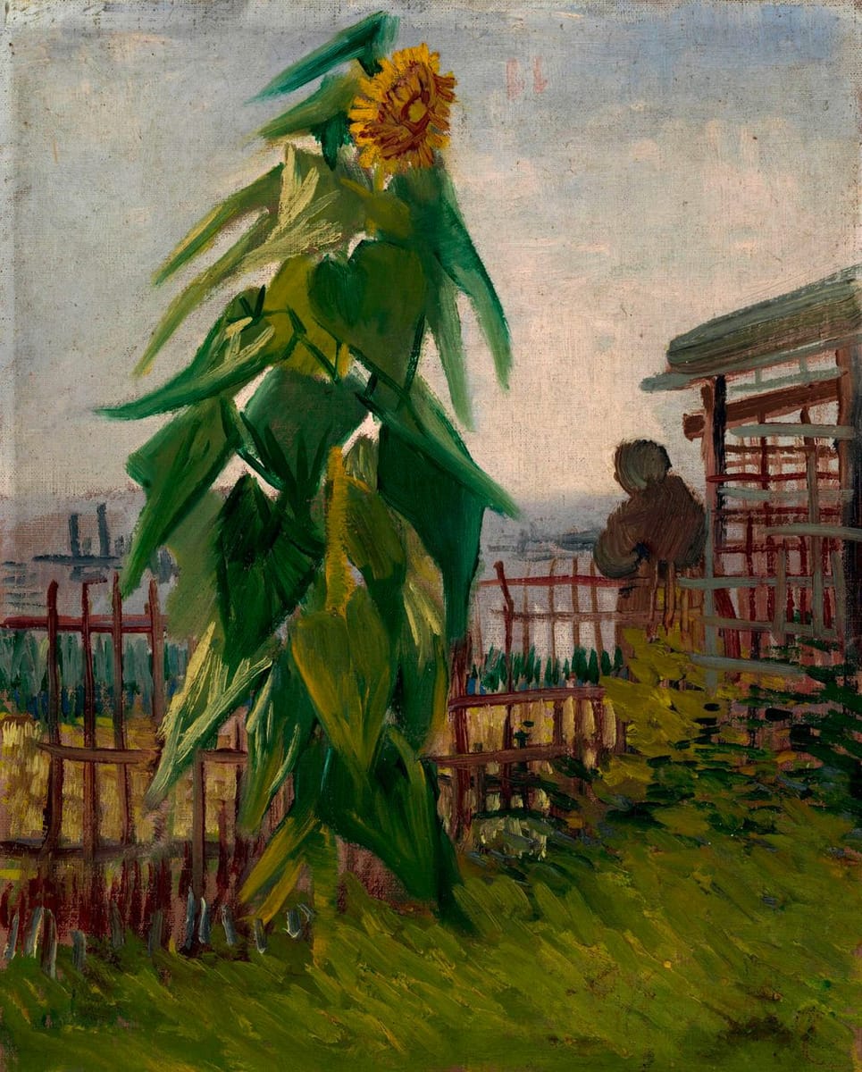 Artwork Title: Allotment with Sunflower Paris, July 1887