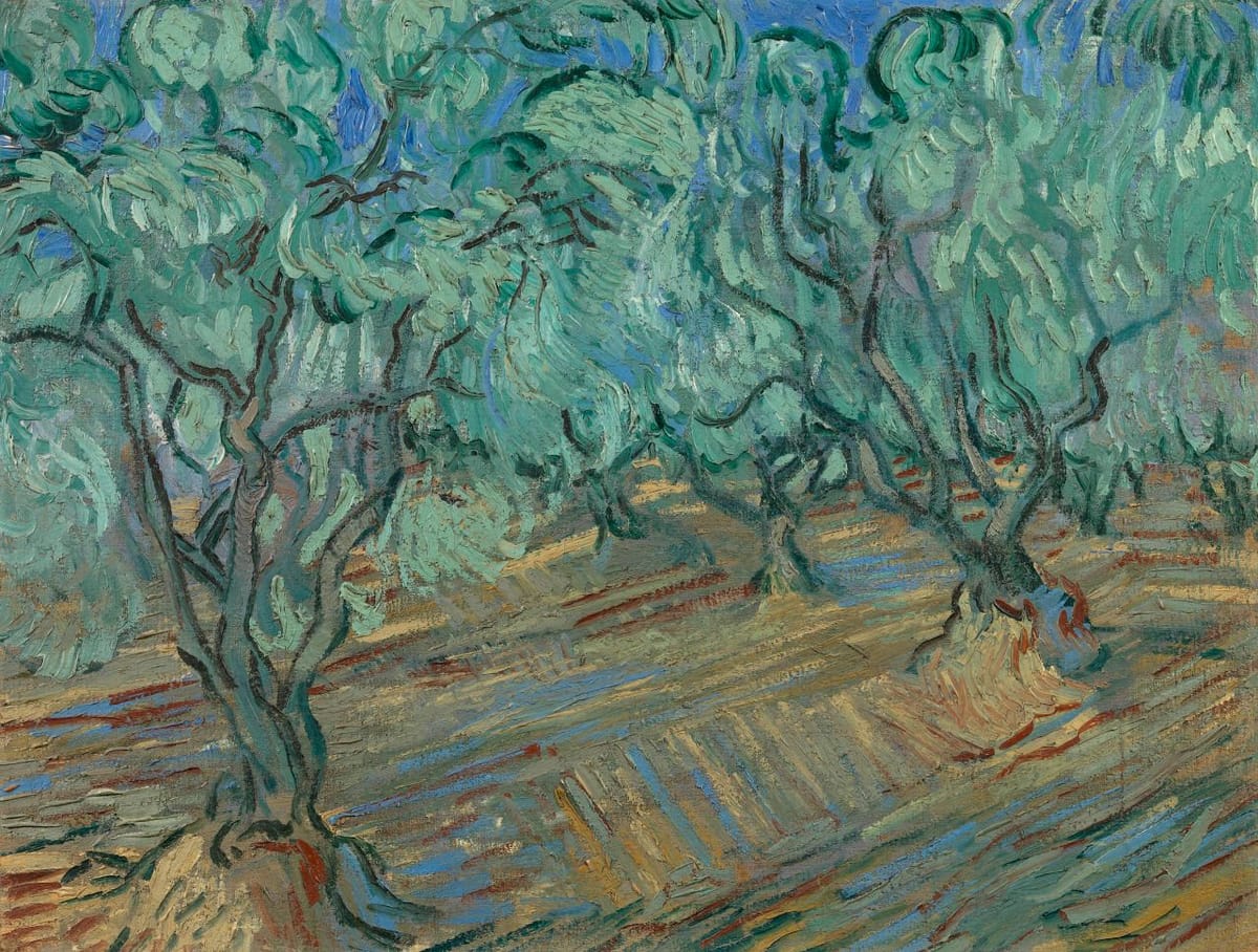 Artwork Title: Olive Grove Saint-Rémy-de-Provence, June 1889