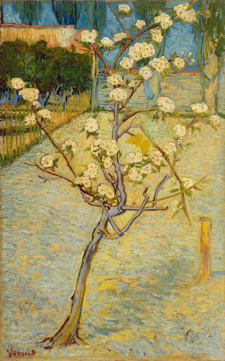 Artwork Title: Small Pear Tree in Blossom