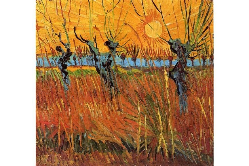 Artwork Title: Pollard Willows In Setting Sun