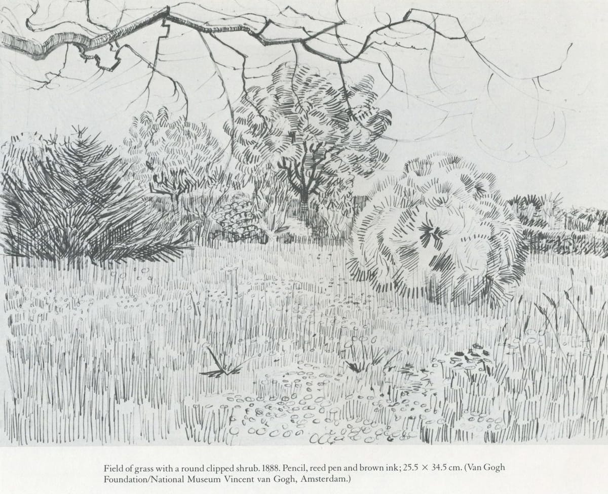 Artwork Title: Field Of Grass