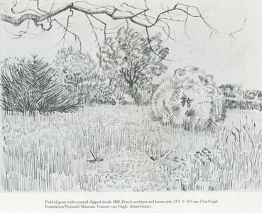 Artwork Title: Field Of Grass