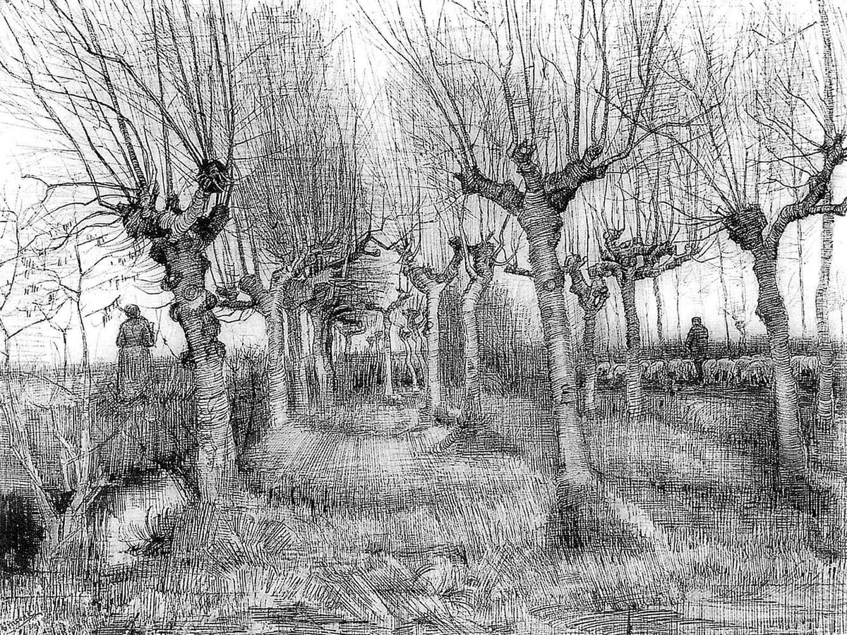 Artwork Title: Pollard Birches Nuenen, March 1884