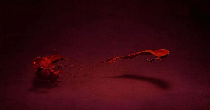 Artwork Title: Garden #1