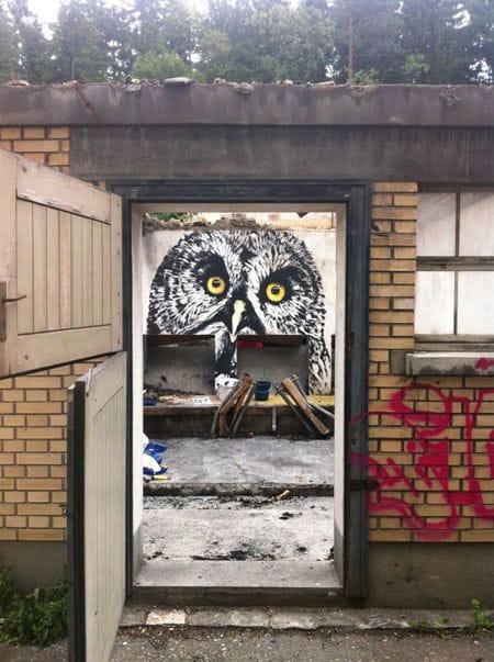 Artwork Title: Owl At Manegg