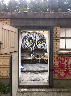 Artwork Title: Owl At Manegg