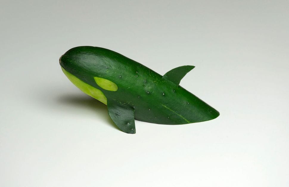 Artwork Title: Cucumber Killer Whale