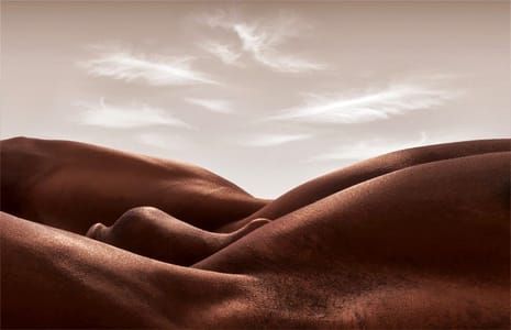 Artwork Title: Bodyscapes