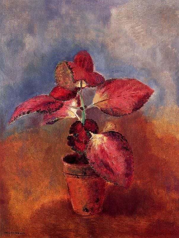 Artwork Title: Begonia in a pot