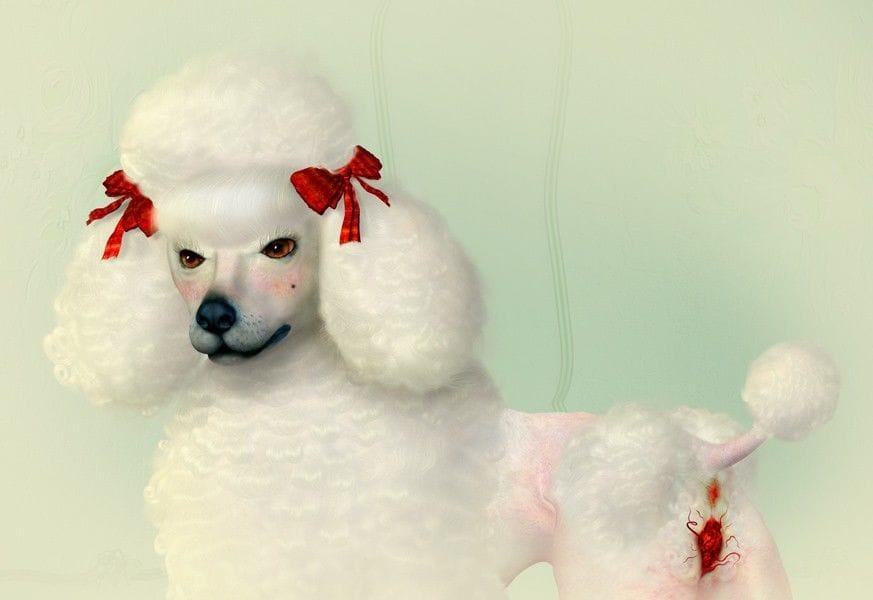 Artwork Title: undefined