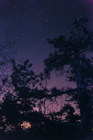 Artwork Title: Night Sky (Knotty Pine)