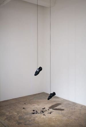 Artwork Title: Flying Shoes