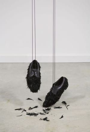 Artwork Title: Flying Shoes (2)