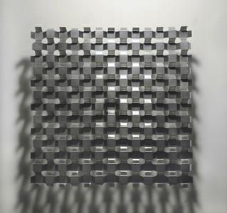Artwork Title: Cubed Membrane