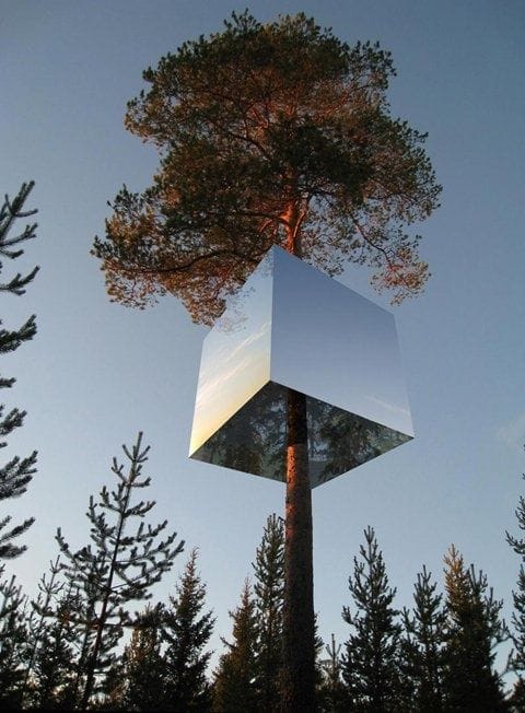 Artwork Title: Tree Hotel