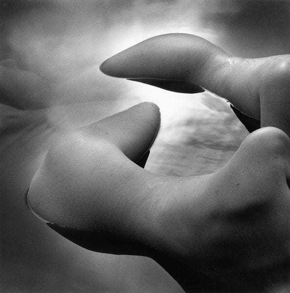 Artwork Title: Entanglement