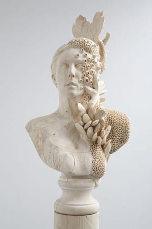 Artwork Title: Coral Bust