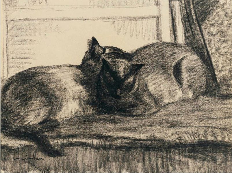 Artwork Title: Two Cats Sleeping in the Studio