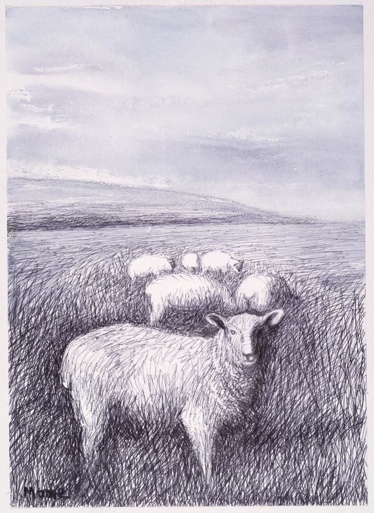 Artwork Title: Sheep Grazing in Long Grass I